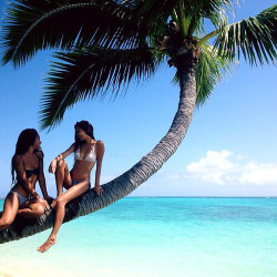 soulwithheart:  beach bikini black body clothes delicious denim