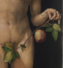 rubenista:  Albrecht Dürer, Adam and Eve (detail), 1507. Oil
