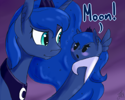 lunadoodle:  Lunapuff is not amused… which amuses Luna greatly.