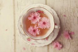 hebatheawesome:  Jasmine tea , best tea out there. 