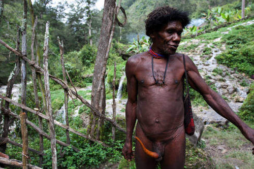   Papuan   Dani   man, via Yaiza Schmöhe Ollero.  