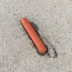 thrulls:Finding this wet hot dog in the street completely changed