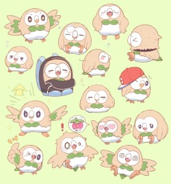 may3104:Ash’s rowlet♡