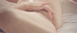 colorgirlonles:  