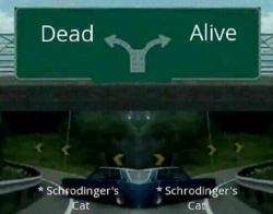 neighborhoodmemes:Schrodinger’s meme, both funny and unfunny