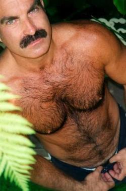 Facebook: hairy men and daddies&bears   	mmmmmmmy daddy