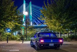 Ford Mustangs