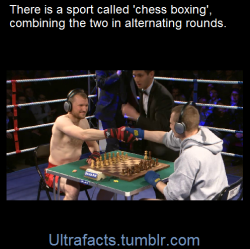 ultrafacts:      Chess boxing is a hybrid fighting sport that