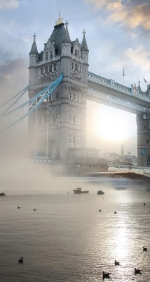 beautifuldreamtrips:  Bridge in London by sandervm ▶️▶️