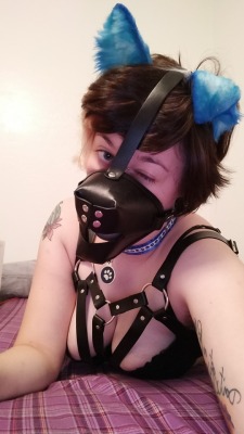 pupblue:Hey?  Do you… Come here often???