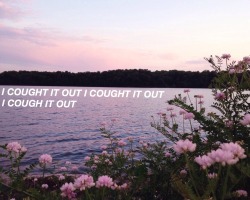 poppunkmerchwall:  The Front Bottoms- Cough It Out