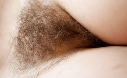 bigsohotpubes:More Hairy Babes HERE