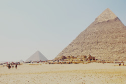 expressions-of-nature:Egypt by Beatrice Bergmark