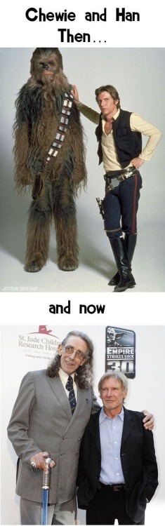 Time marches on (Peter Mayhew and Harrison Ford) … love Peter’s lightsaber cane!
