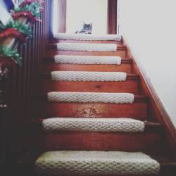He always naps at the top of the stairs when we’re out.