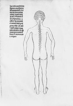 worldhistoryfacts:  Anatomical drawing by Guido da Vigevano (1280-1349)