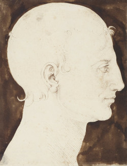 theories-of:  Albrecht Dürer, Constructed Head of a Man in Profile,