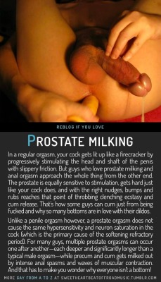 sweetheartbeatoffroadmusic:  PROSTATE MILKING. Find your thing: