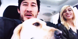 wiishugifs:  A day with Chica.