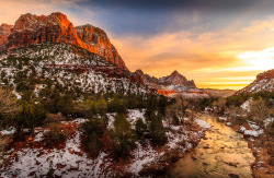 davecurry8:  Zion National Park