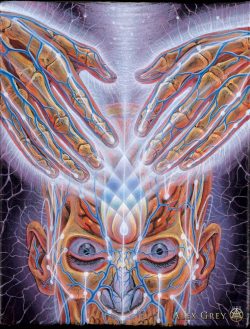 fuckyeahalexgrey:  Alex Grey - Progress of the Soul pt. 39  “Lightweaver”