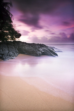 drxgonfly: Spécial Pink Life Tao beach! by Philippe TAO 