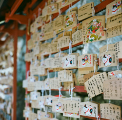 yukku-ri:  Shirahige-shrine #01 by tyosshiman on Flickr.