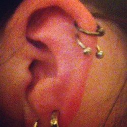 FINALY had the guys to swap over my newest piercing to my bullring!