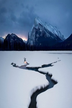 Majestic massif (Mount Rundle, Banff National Park, Alberta,