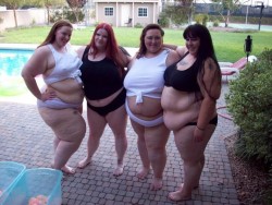 ssbbwfanatic:  twiggynightmare:  (left to right) BBW Gwen, Synful