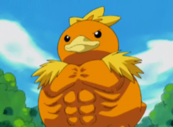 smoothmovedude:  ashle1:  Get pumped for Hoenn   Torchic used