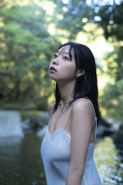 画像庫