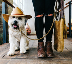 freepeople:  This week’s featured stylist.