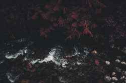 deeplovephotography:  Cameron Lake  instagram | flickr | facebook