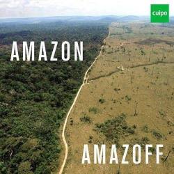  70% of Amazon destroyed to produce meat. Go vegan. These are