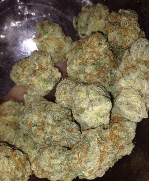 thebudtendersociety:  Birthday Cake sent in by our BUDdy Angel  Email your high quality NUG pics to get posted on the BTS blog Budtendersociety@gmail.com  Http://budtendersociety.com