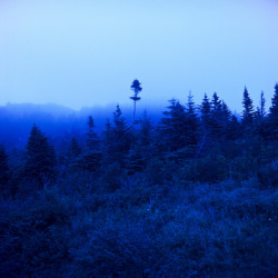 cerceos:  Patrick Joust | Tumblr - North 