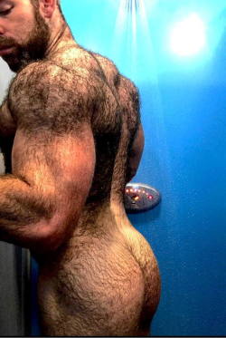 extremehairymen: Perfect hairy shoulders, back and ass. Perfect