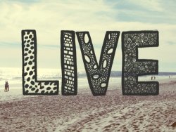 Just Enjoy Life