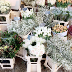 breadandolives:  Le Marais