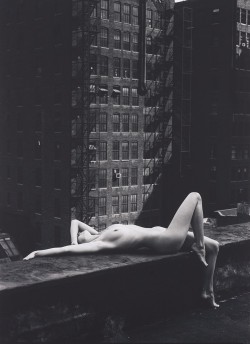 leagueofserendipity: Nude | New York | 1975 Photograph by Patrick