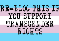 lkng4myprincess:  feminization:  Support Transgender Rights!