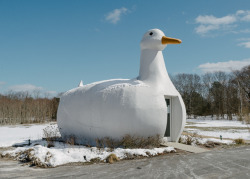 americaisdead: the big duck. flanders, new york. march 2017