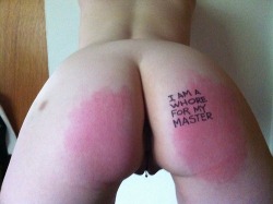 a-masters-den:  I am! Just for my Master. ~Kitty  &ldquo;I am a Whore for my Master.&rdquo;