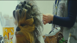 Lol best screencap from BTS STAR WARS THE LAST JEDI