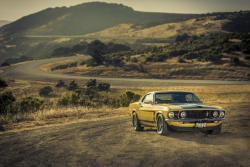 lostandfound82:  1969 Ford Mustang Boss 302 [2048x1365] via /r/carporn