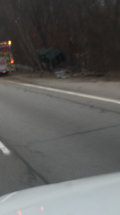 Another trucker puts this truck into a tree… Safety first