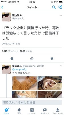 futureisfailed:  暴力喫茶さんのツイート: “ツイートが伸びたときに「まってヤバいのびすぎ笑」とかセルフリプしてるひとたちに比べてこのツイッタラーはどうだ