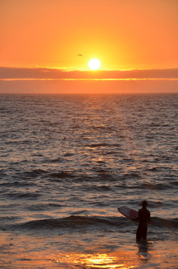 fustter:   Skim, sunset. on Flickr. Skim en Viña. 