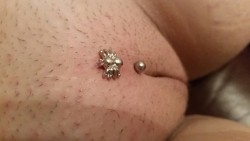 pussymodsgaloreA Christina piercing with a decorative curved